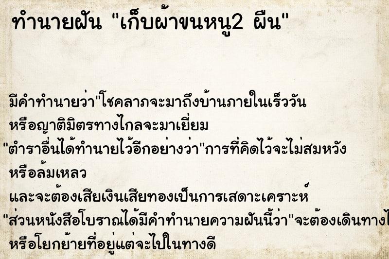 ทำนายฝัน เก็บผ้าขนหนู2 ผืน ทำนายฝัน เก็บผ้าขนหนู2 ผืน